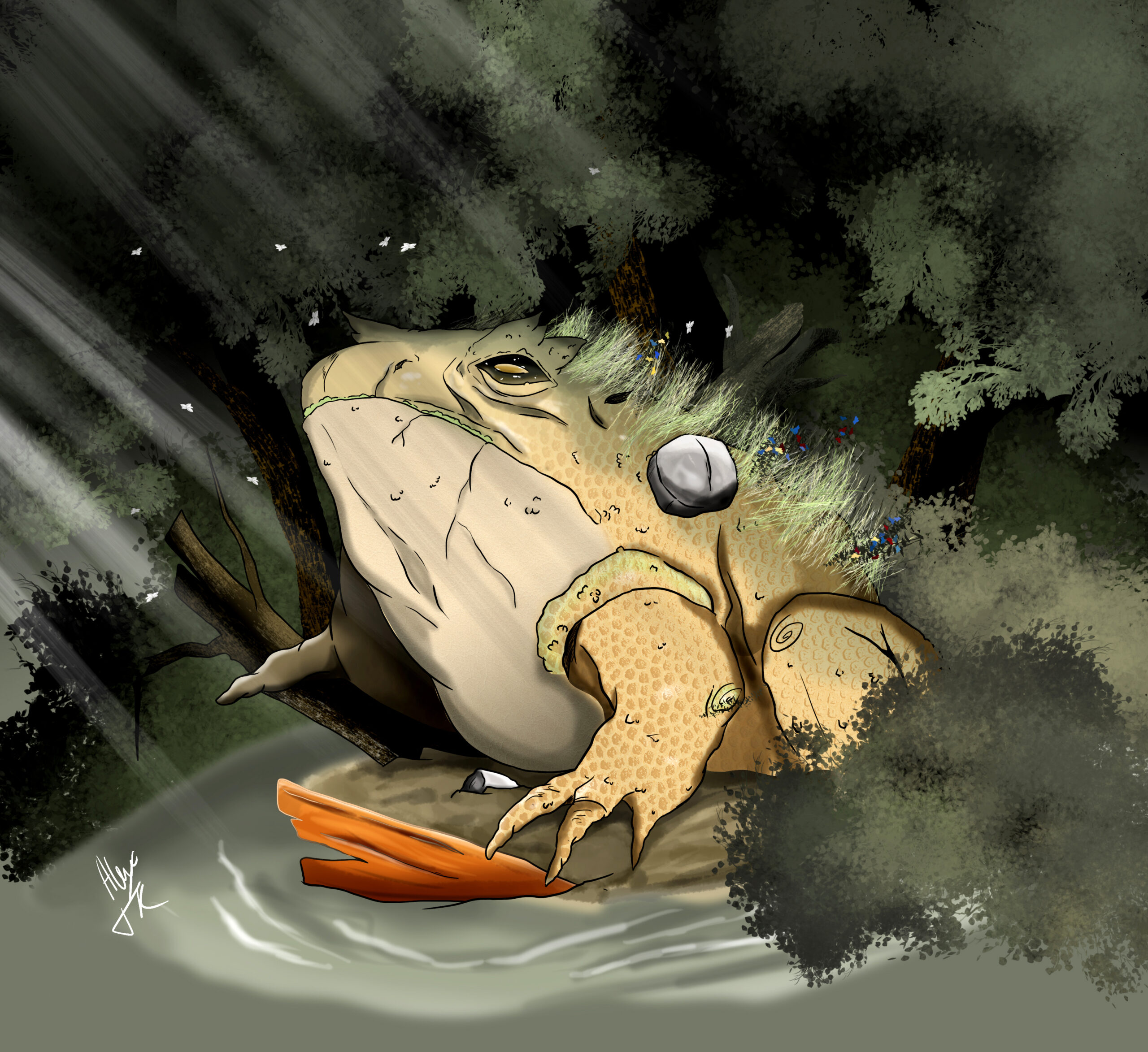 Illustrations