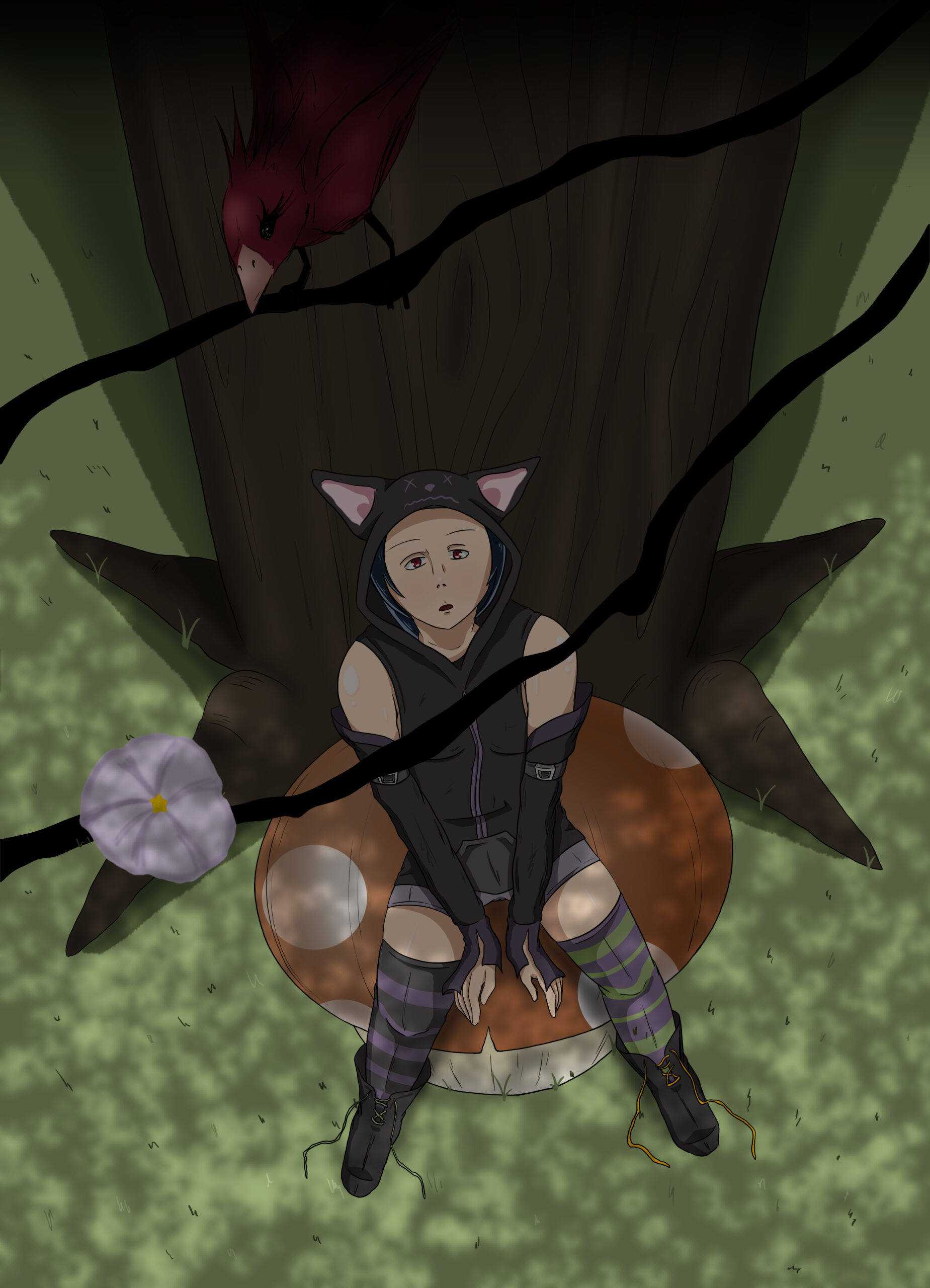 Illustrations