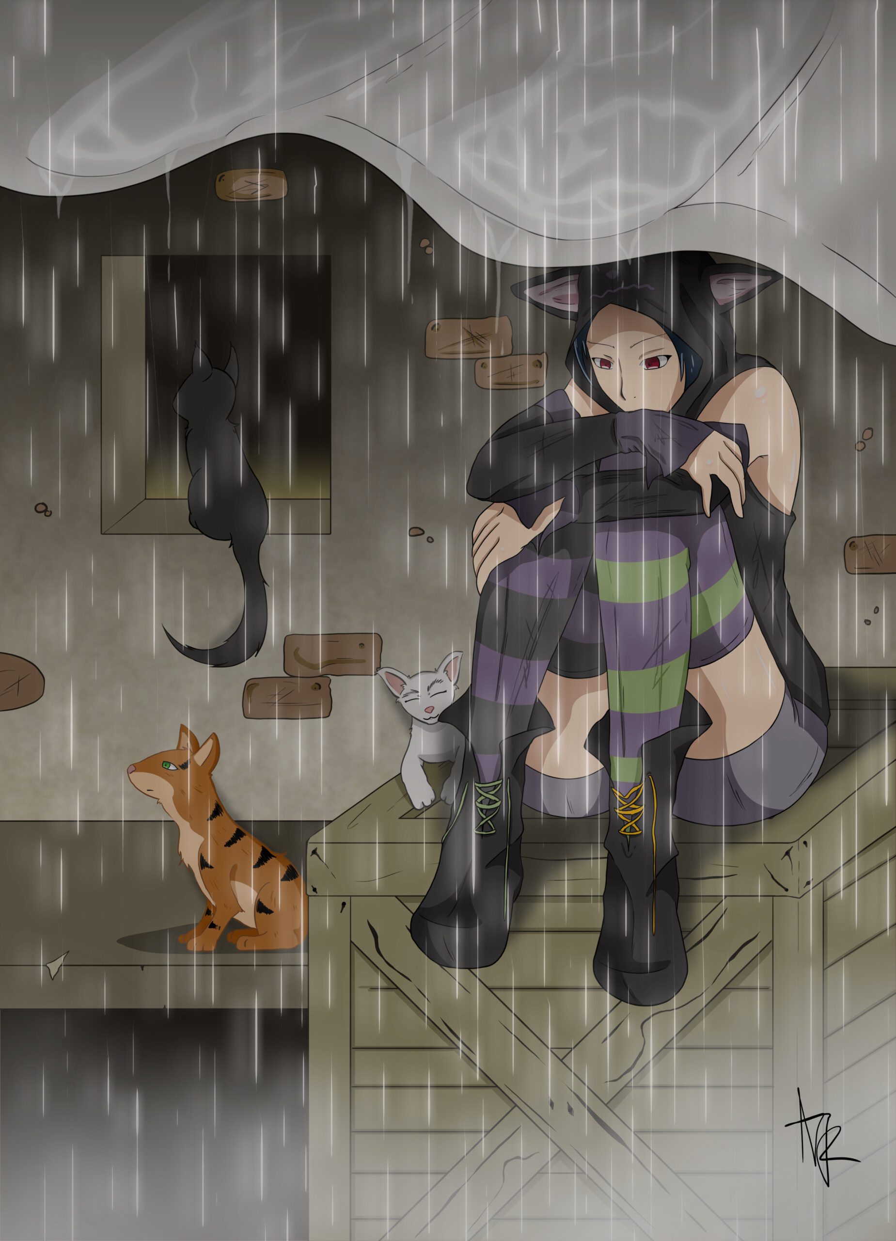 Illustrations